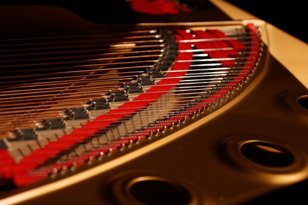 Steinway-Flügel in der Paterskirche, Detail, © Feenstaub Entertainment, Essen