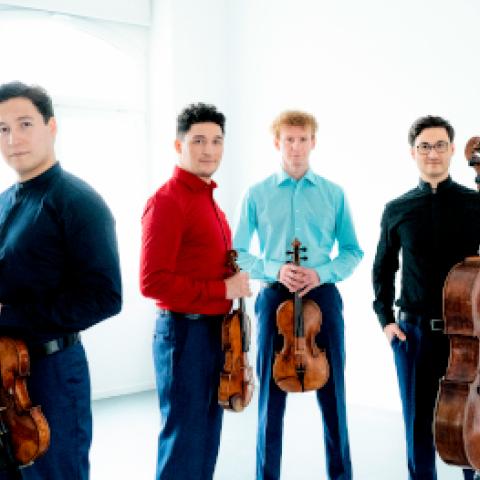 Die Mitglieder des Schumann Quartetts